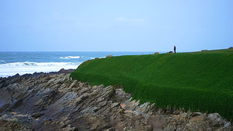 Person Standing on a Green Grass Field, beach, blue, clouds, coast HD wallpaper