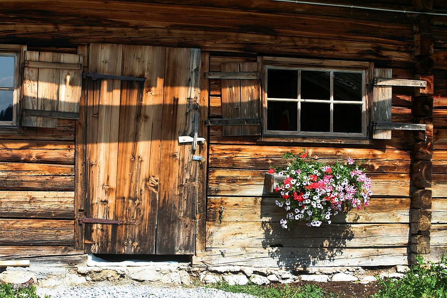 Brown Wooden Door, architecture, barn, cabin, cottage, decay HD wallpaper