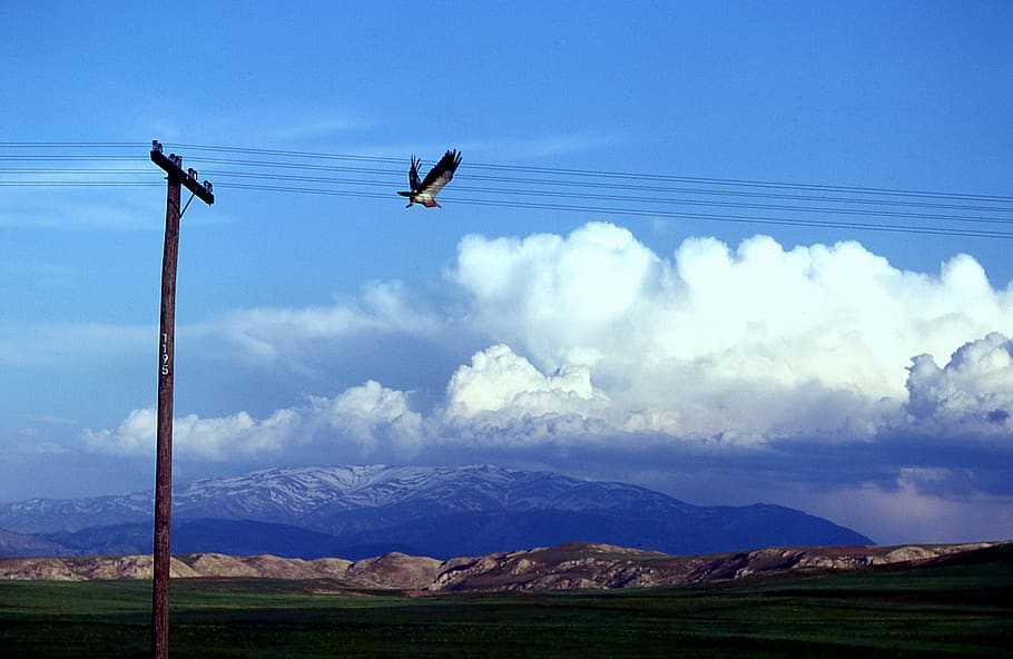 turkey, landscape with clouds, sky, mountain, bird, animal wildlife HD wallpaper