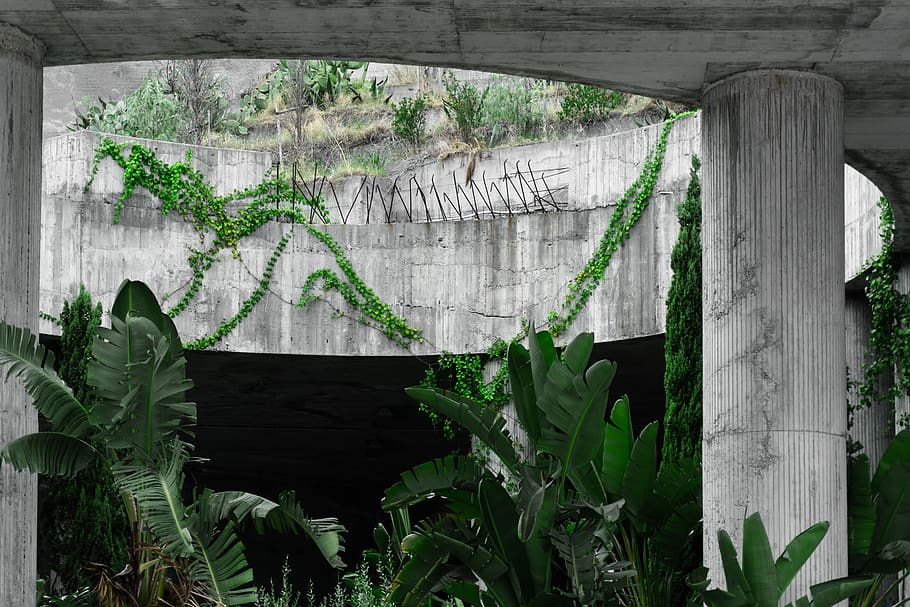 green leaf plant, concrete, outdoors, arbour, garden, tree, taormina HD wallpaper