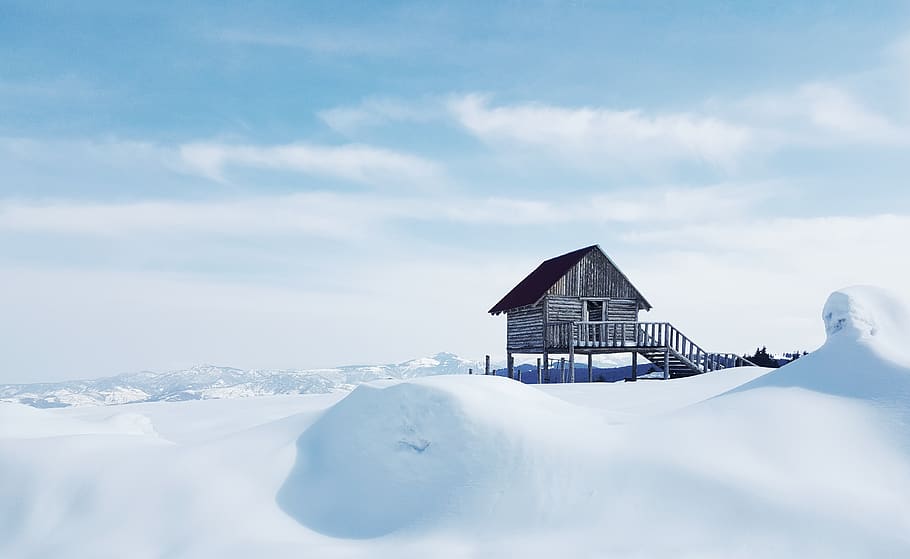 brown cabin on snowy iland, cold temperature, winter, built structure