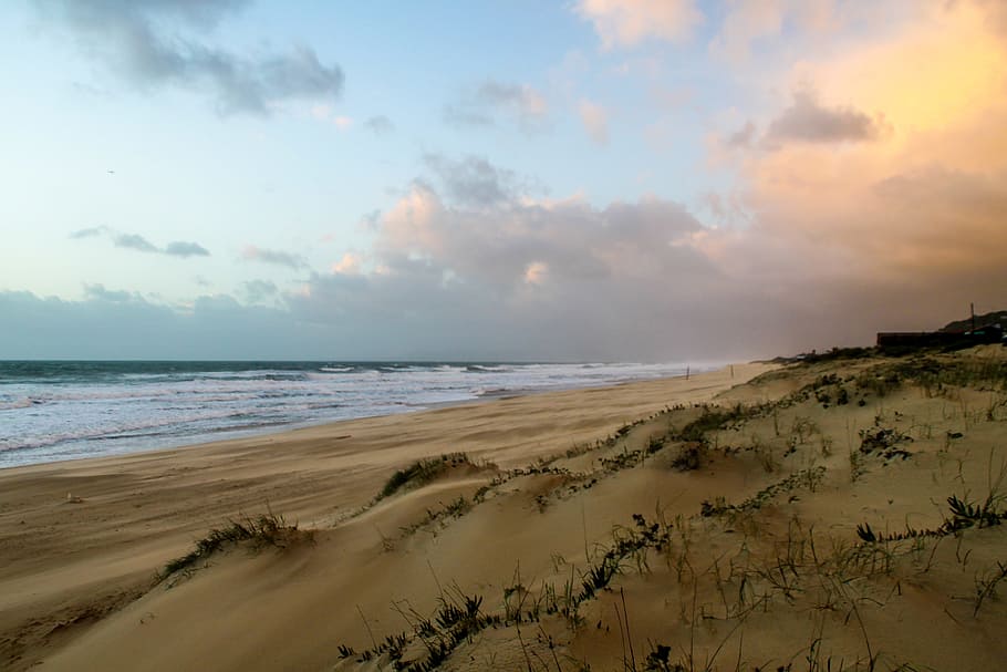 Seashore Under Blue Sky and White Clouds View, beach, dune, grass HD wallpaper