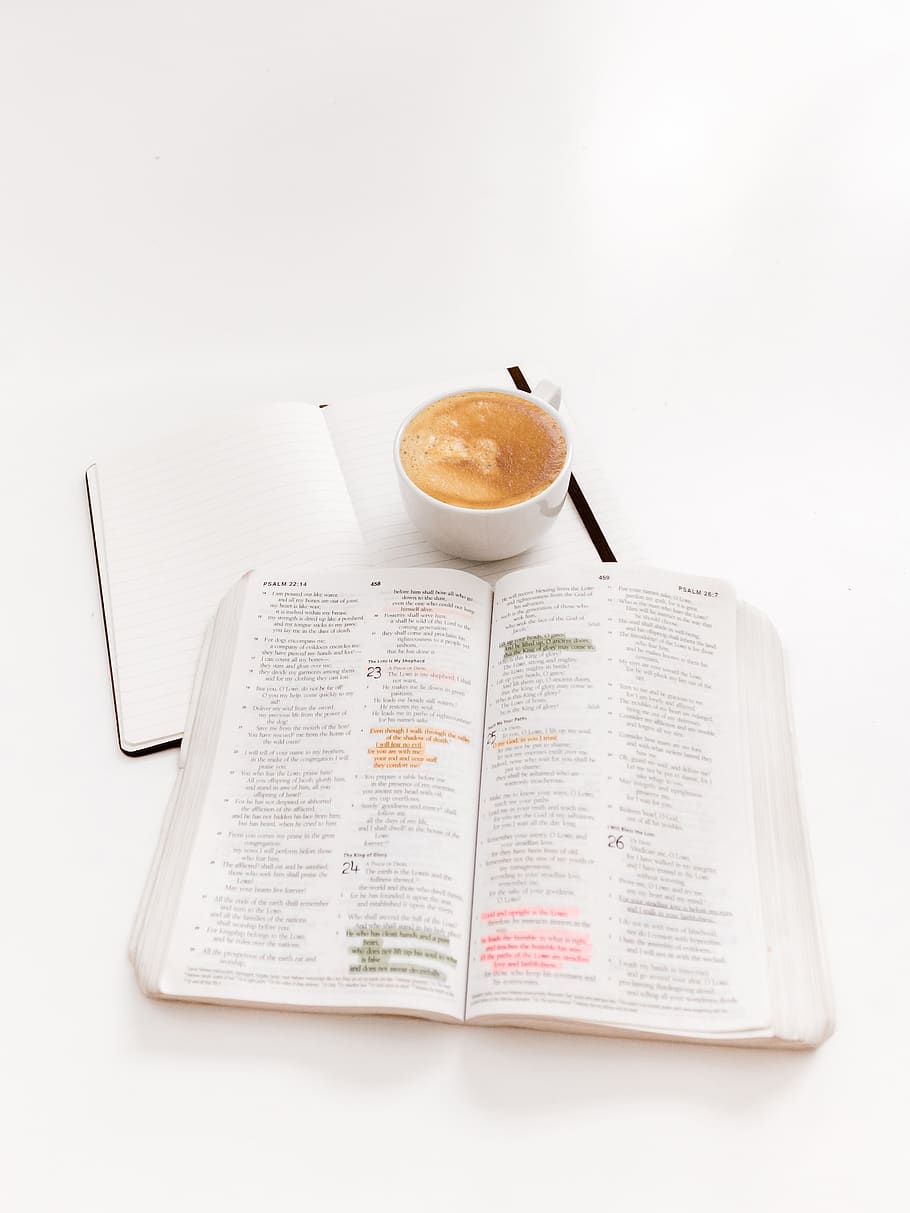white book, paper, cup, coffee cup, mug, food and drink, indoors HD wallpaper
