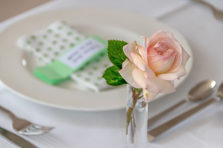 decoration, table, communion, lunch, festive, festival, rose HD wallpaper