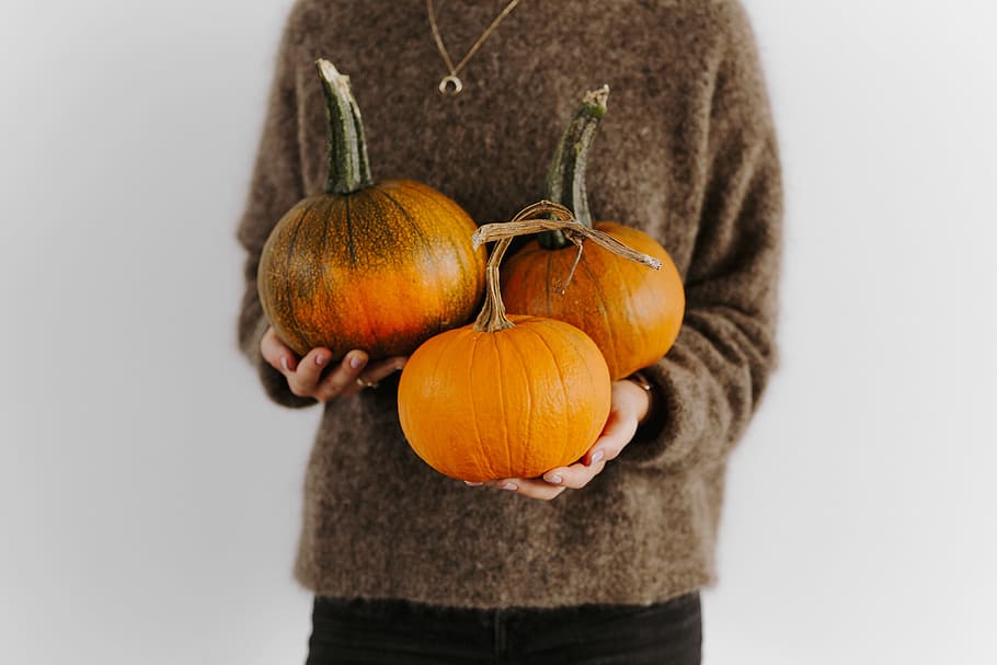 Women's hands in sweater are holding pumpkin, female, person, HD wallpaper