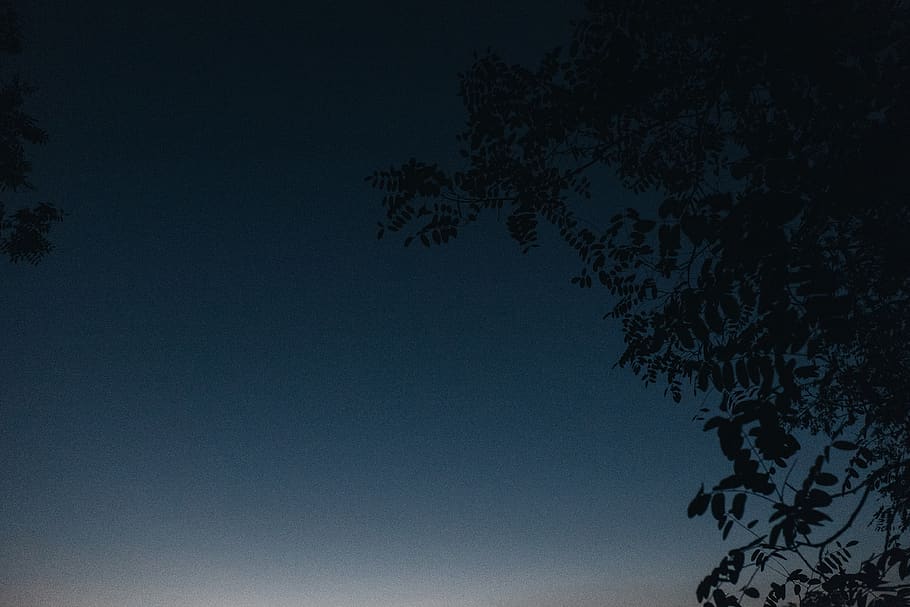 dusk, sky, dark, night, evening, trees, silhouette, nature HD wallpaper