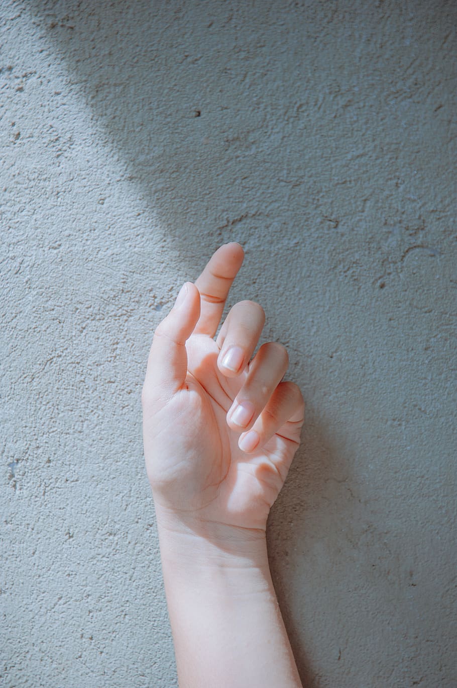 Close-Up Photography of Hand, fingers, human body part, one person HD wallpaper
