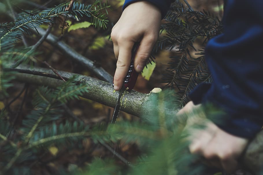 person cutting tree trunks, germany, atzelsberg, marloffstein HD wallpaper