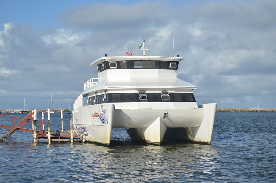boat, ferry, rio, mar, browse, recife, people, water, nautical vessel HD wallpaper