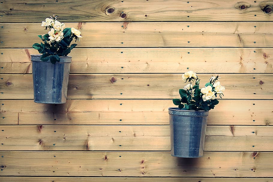 plant, flower, wood - material, flowering plant, nature, potted plant HD wallpaper