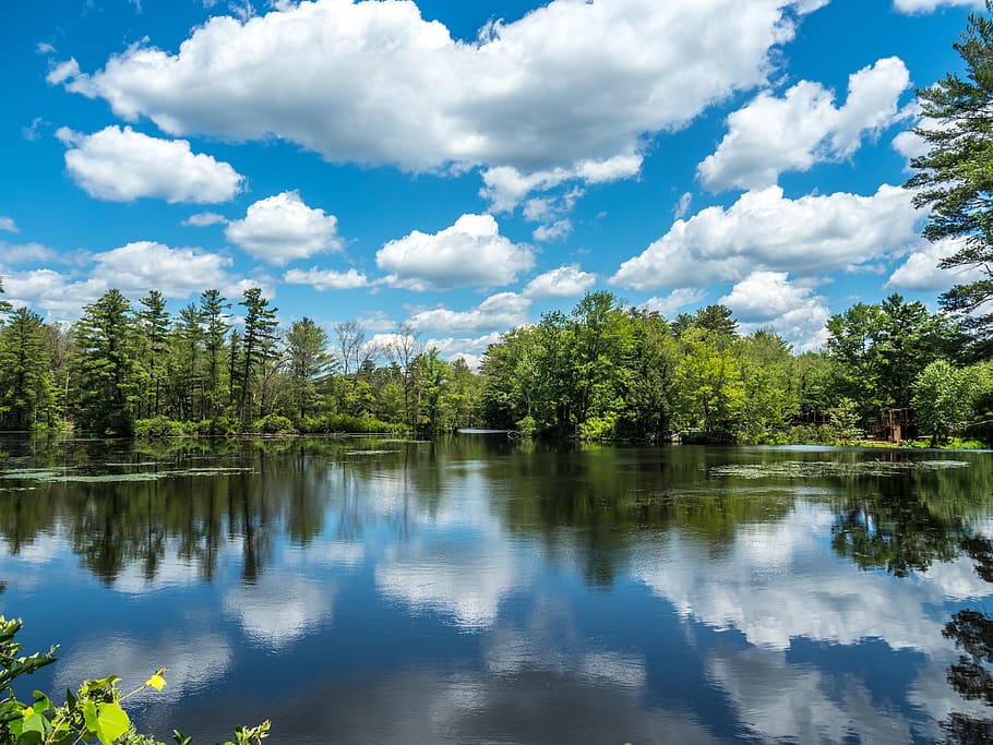 lake, water, summer, clouds, blue, sky, nature, landscape, reflection HD wallpaper