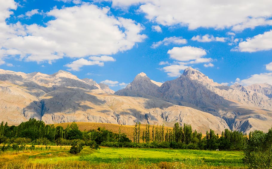 turkey, niğde, trees, forest, mountain, scenics - nature, beauty in nature HD wallpaper