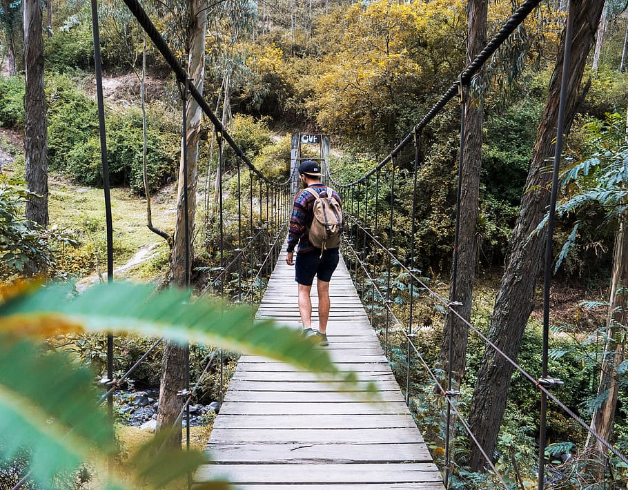 man crossing the bridge, human, person, building, rope bridge HD wallpaper