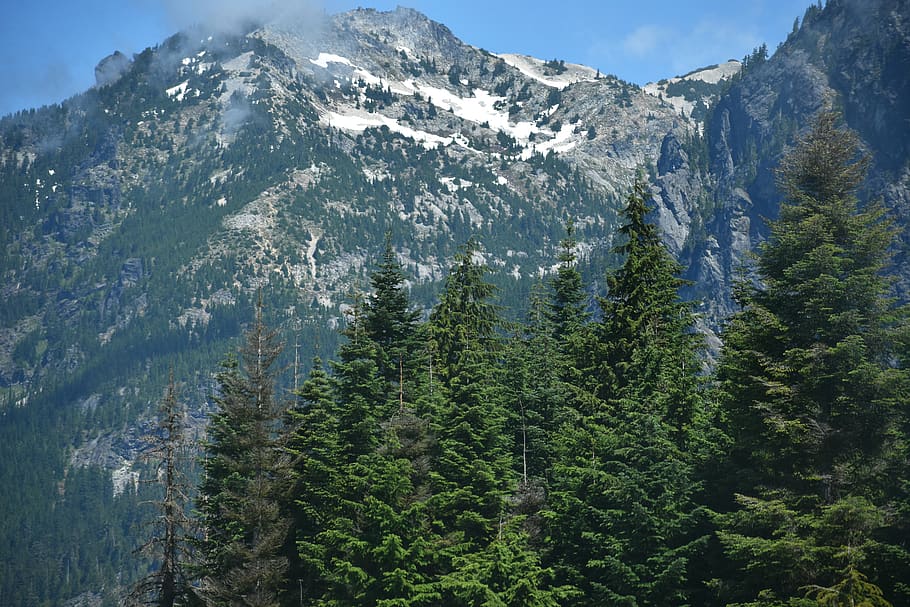 mountains, clouds, evergreen, landscape, nature, outdoors, hills HD wallpaper