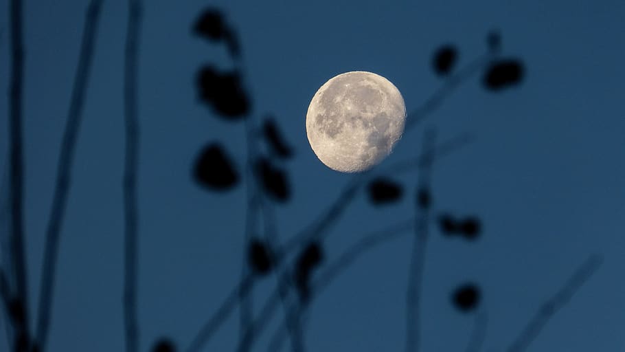moon view, astronomy, full moon, universe, space, outer space HD wallpaper