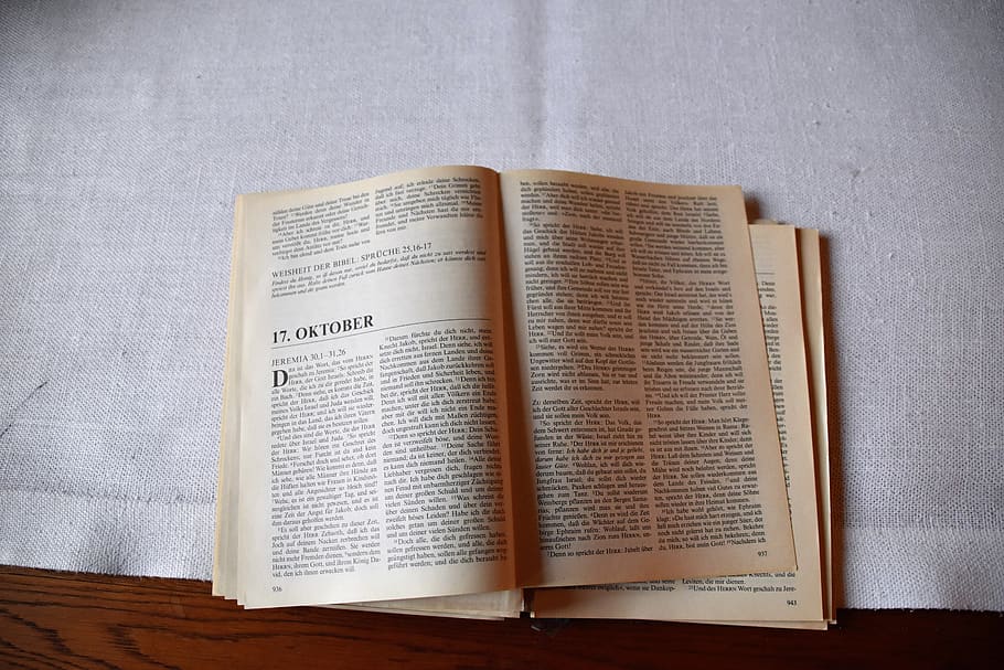 brown book, publication, education, indoors, no people, page HD wallpaper
