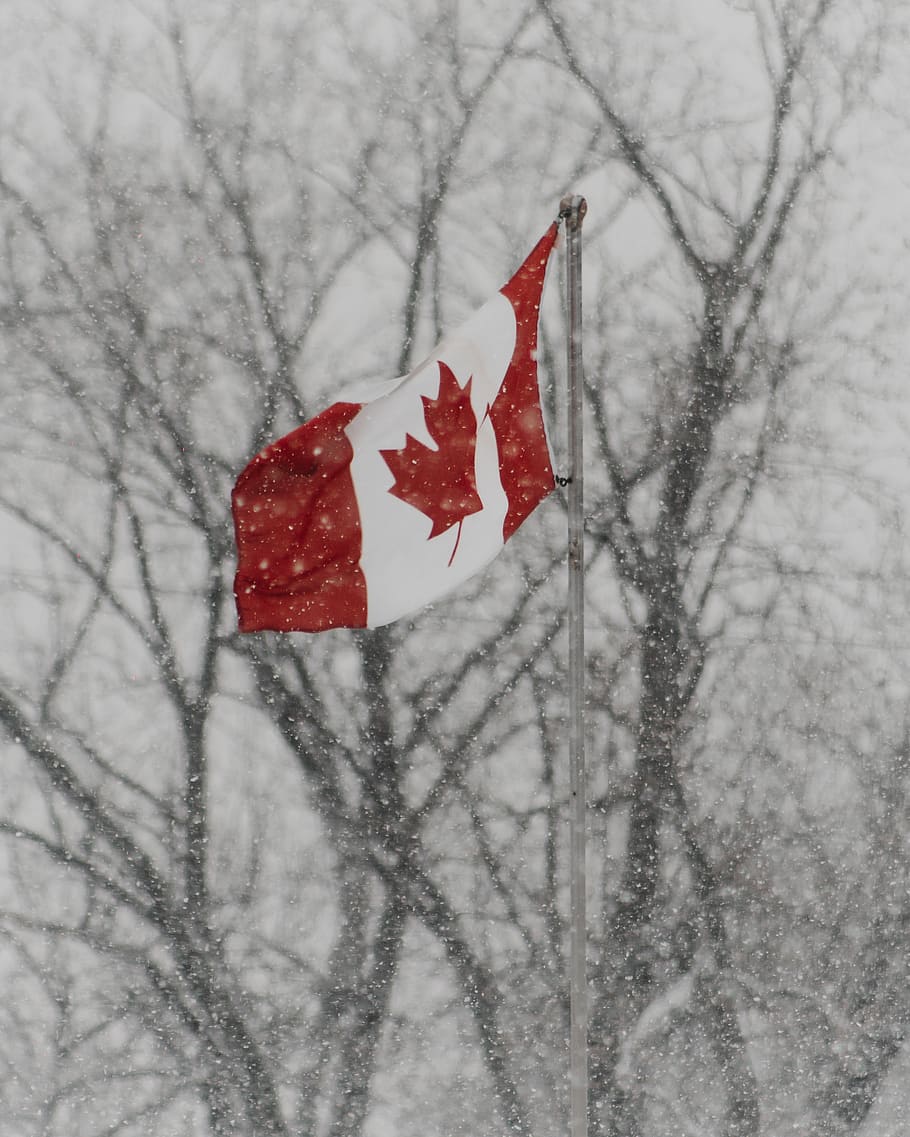 Canada flag, symbol, nature, outdoors, winter, snow, storm, blizzard, HD wallpaper