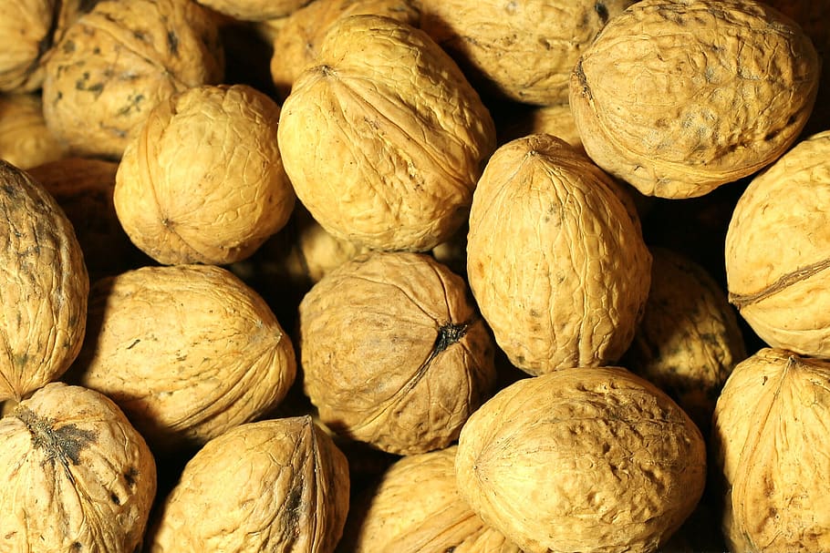 walnut, shell, delicious, healthy, tasty, brown, background HD wallpaper