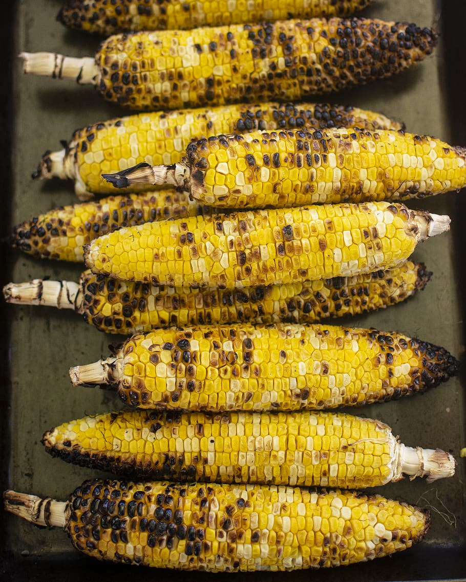 grilled corns, food and drink, freshness, yellow, sweetcorn, wellbeing HD wallpaper