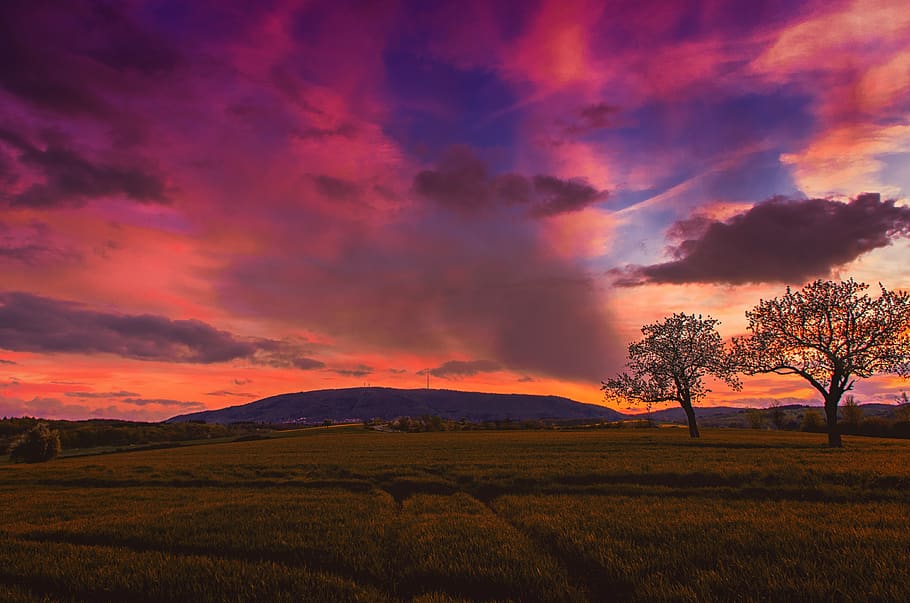 germany, bolanden, field, clouds, pentax, landscape, nature HD wallpaper