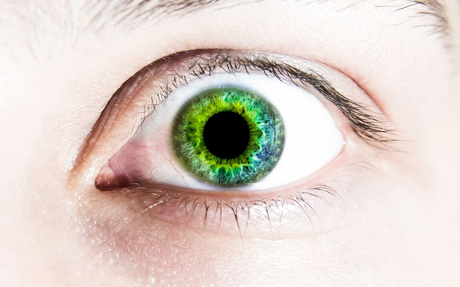 eye, green, face, eyesight, human body part, close-up, human eye HD wallpaper