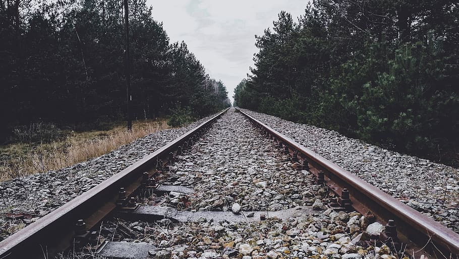 railway, trees, forest, nature, moody, rocks, steel, old, abandoned HD wallpaper