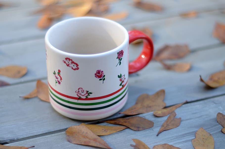 mug, fall, leaves, rose mug, coffee, tea, cup, food and drink HD wallpaper