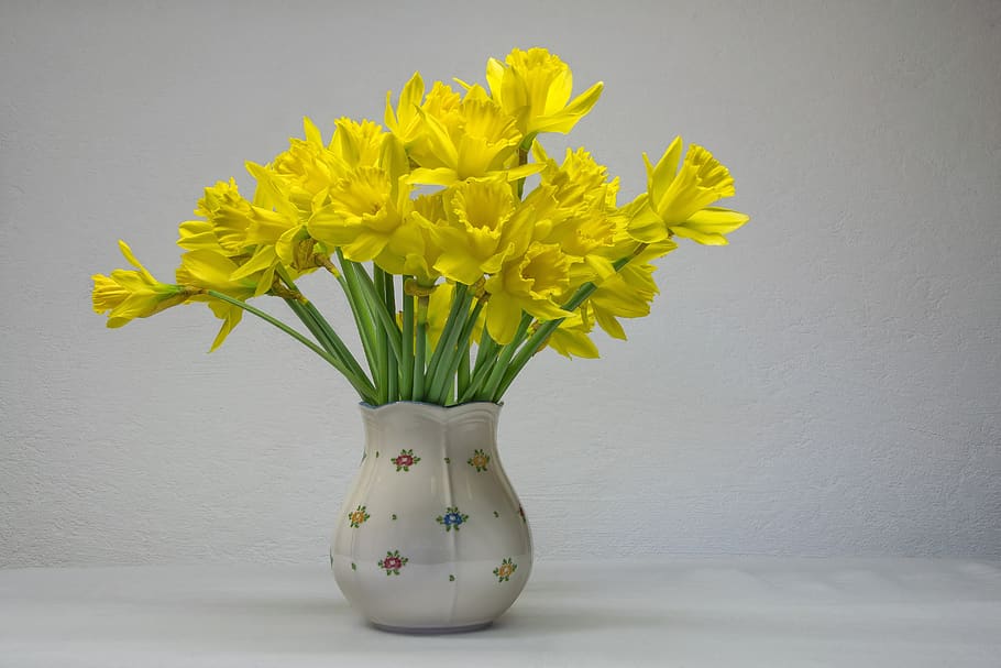 osterglocken, daffodils, flower, easter, nature, vase, bouquet HD wallpaper