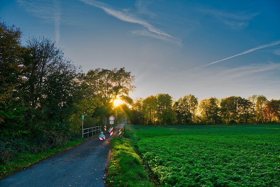 away, cycle path, walk, autumn, germany, sunbeam, mood, shield HD wallpaper