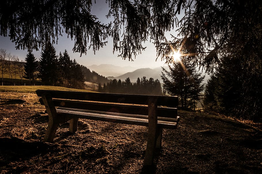 germany, sonthofen, hinang, tree, plant, seat, bench, nature HD wallpaper