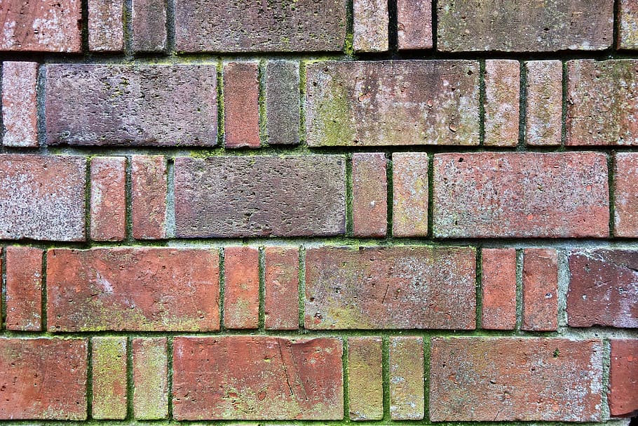 brick wall, red brick wall, masonry, cement, mortar, seam, moss HD wallpaper