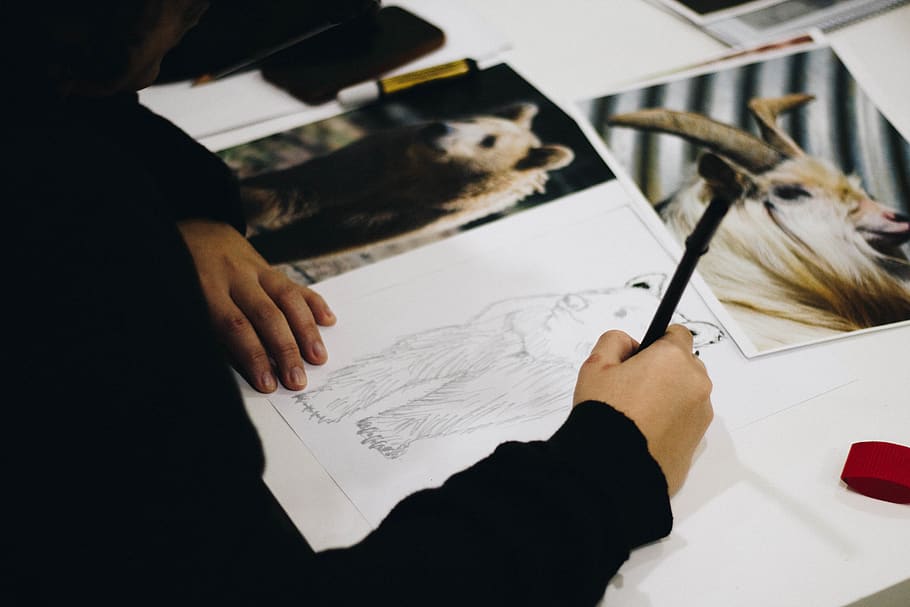 person drawing brown bear on paper, human, people, pen, artist, HD wallpaper