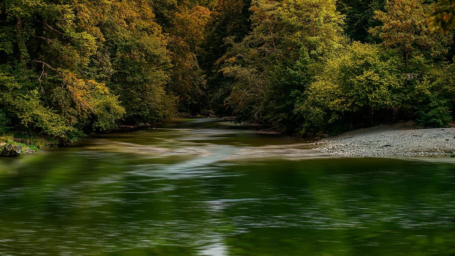 nature, landscape, forest, river, water, scenic, mystical, idyll HD wallpaper