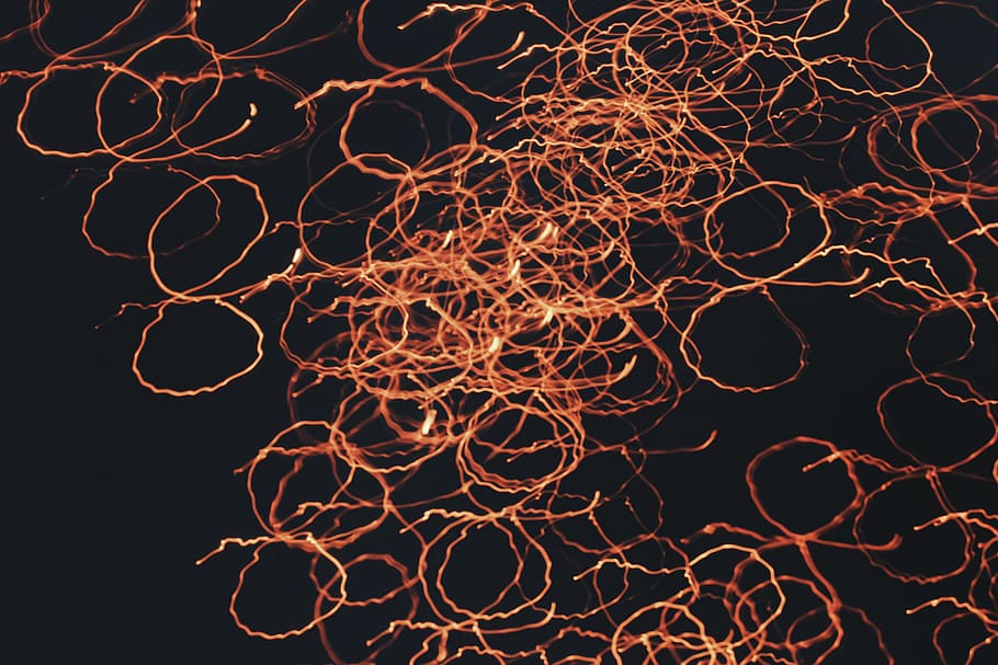 red round illustrations, no people, night, complexity, pattern HD wallpaper