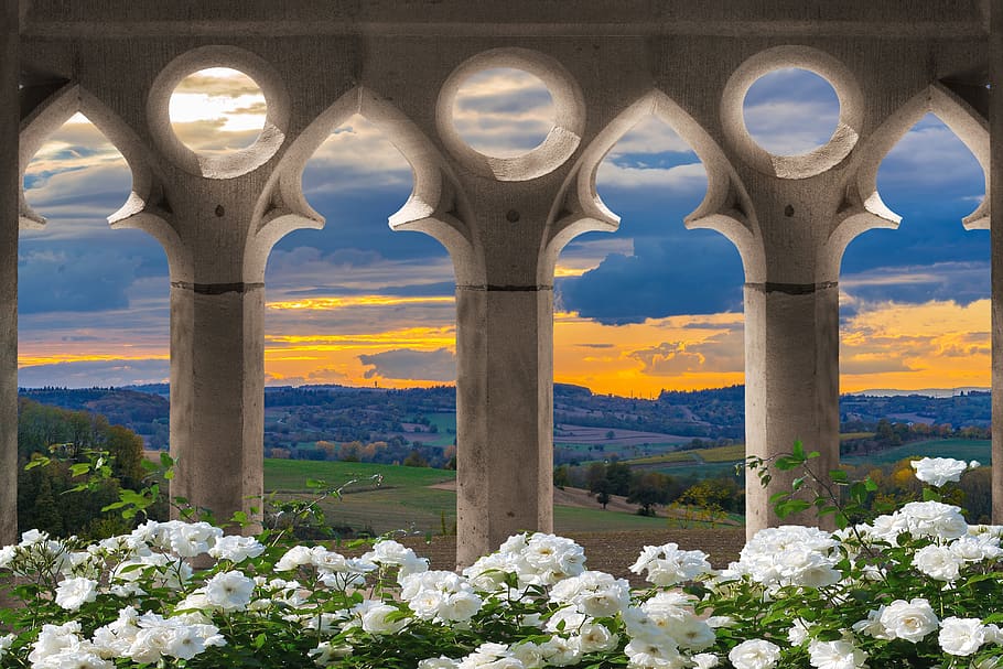 landscape, flowers, nature, sky, flowering plant, architecture HD wallpaper