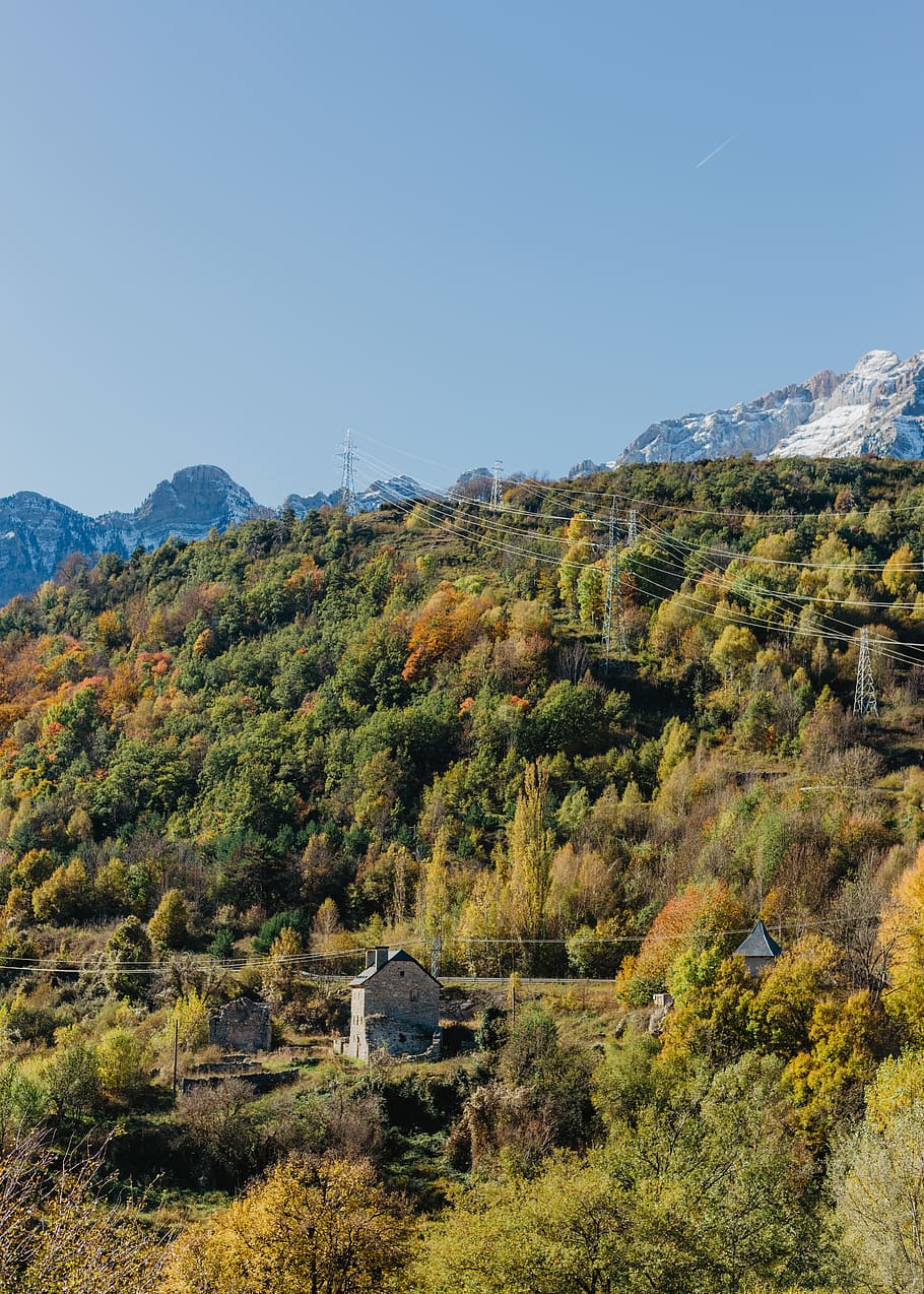 green-leafed trees, nature, outdoors, mountain range, slope, countryside HD wallpaper