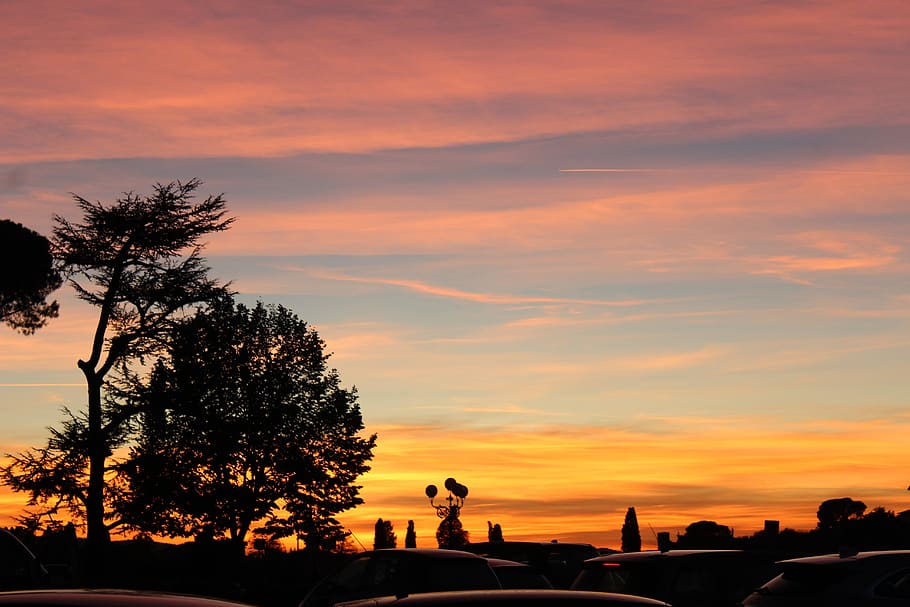 sunset, florence, italy, sky, orange color, tree, silhouette HD wallpaper