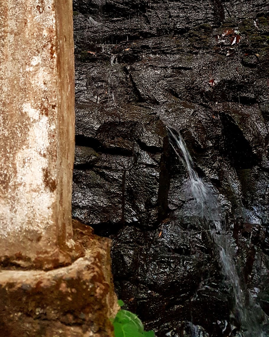 india, kodagu, no people, close-up, nature, textured, day, water HD wallpaper