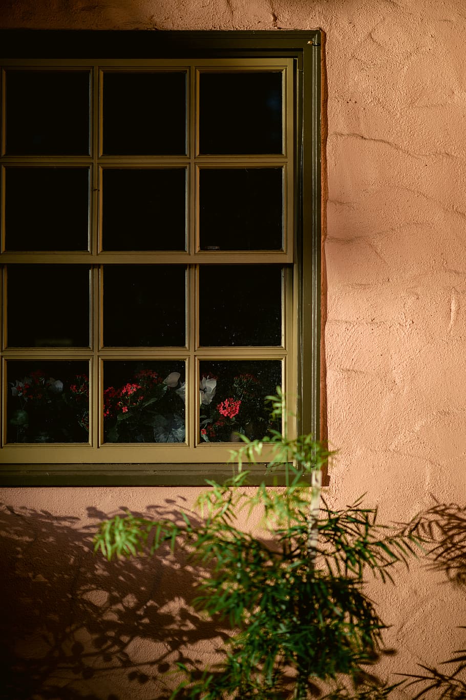 gray framed glass window, plant, architecture, building exterior HD wallpaper