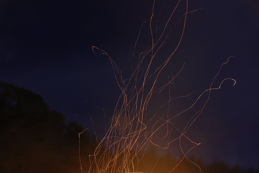 canada, mayne island, tree, night, sparks, fire pit, bonfire HD wallpaper