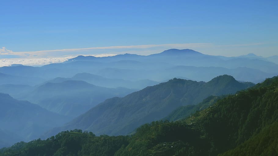 mountain, trees, clouds, sky, green, morning, forest, landscape, HD wallpaper