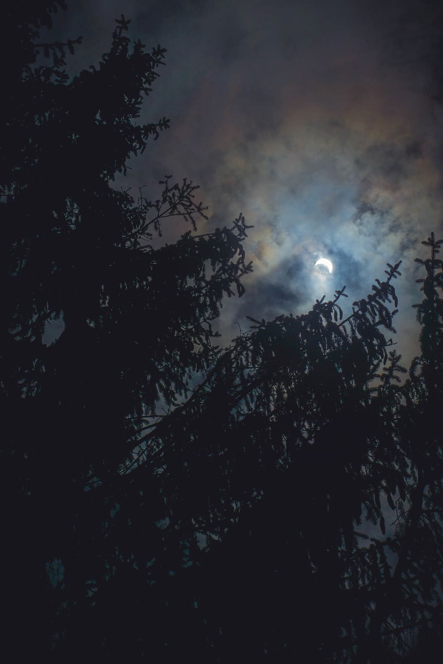 tree, newengland, connecticut, eclipse2017, summer, moody, cloud HD wallpaper
