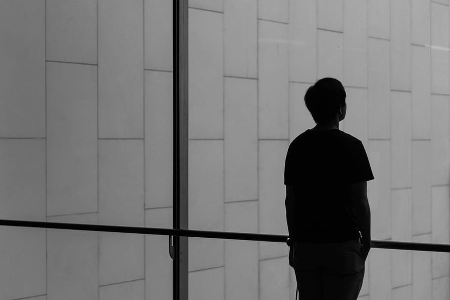 silhouette of a person facing glass wall, back, human, people