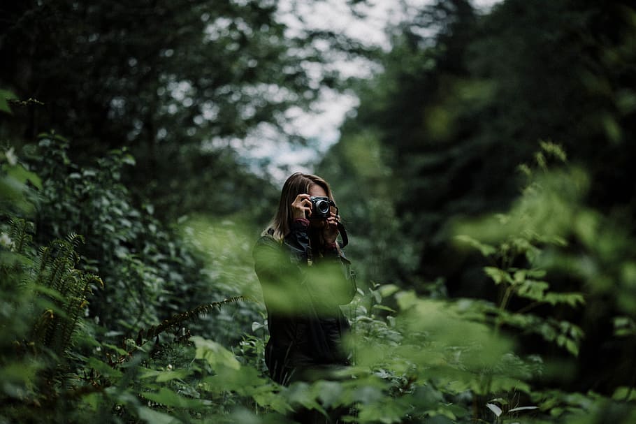 woman taking photo of trees, person, camera, forest, woodland HD wallpaper