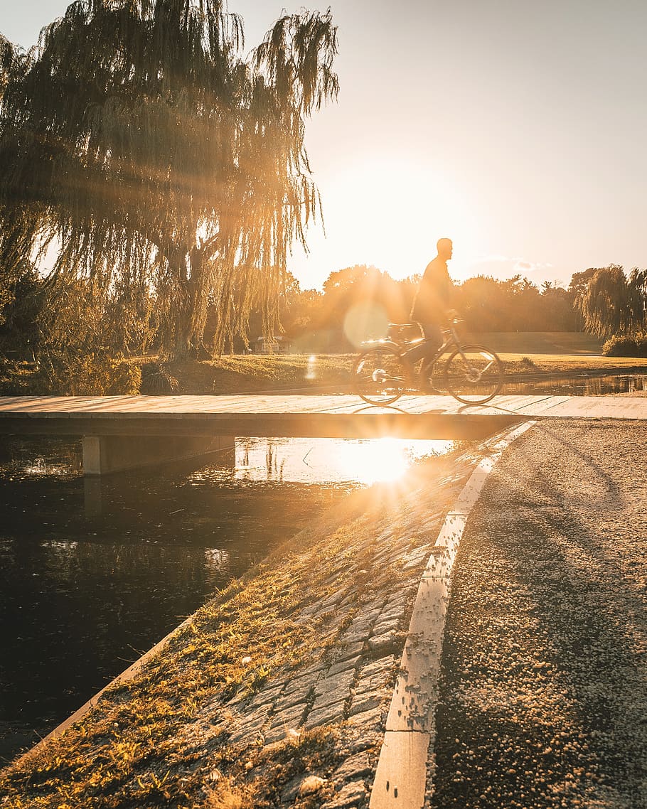 person riding bicycle during sunset, light, flare, sunlight, human, HD wallpaper