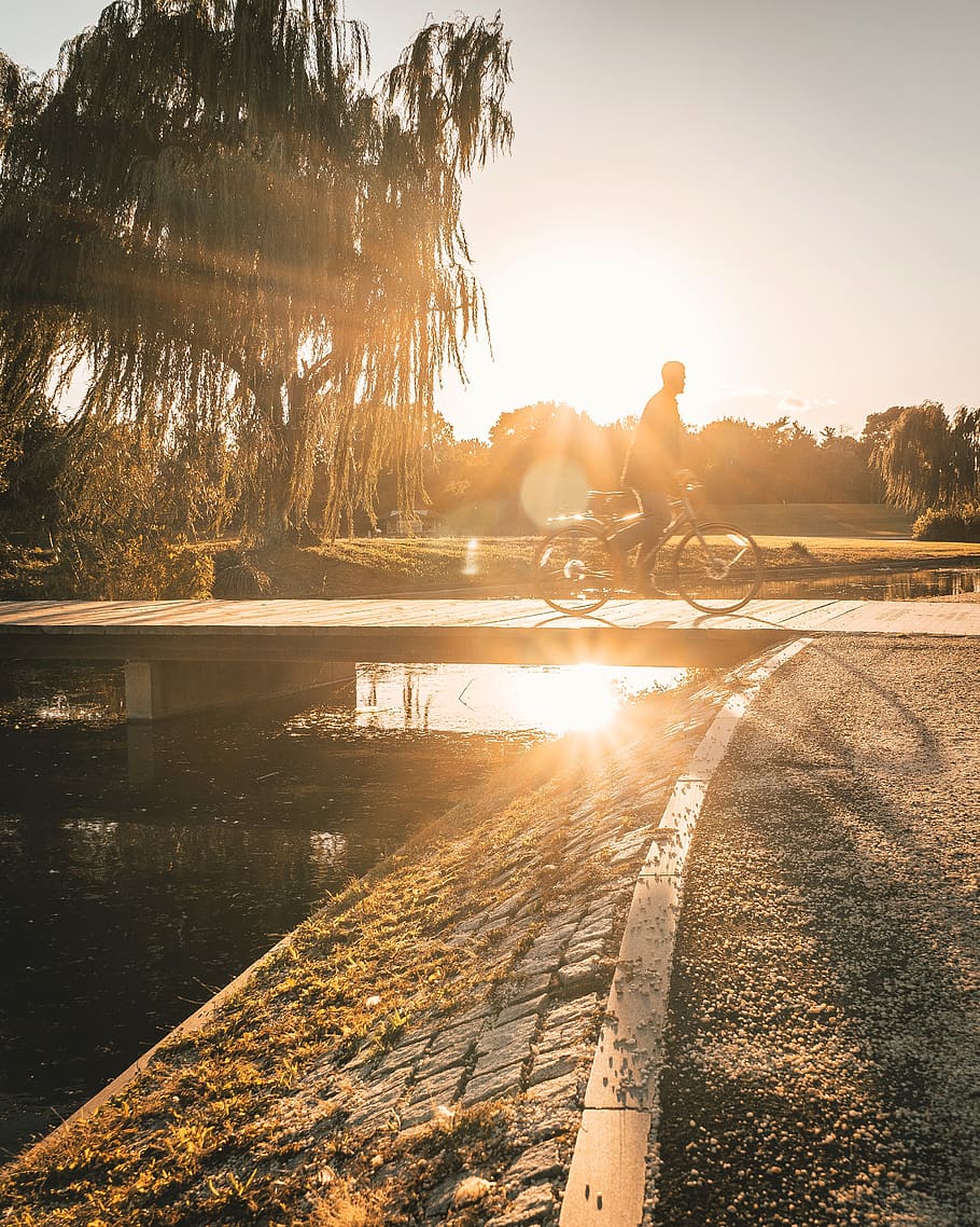 person riding bicycle during sunset, light, flare, sunlight, human HD wallpaper