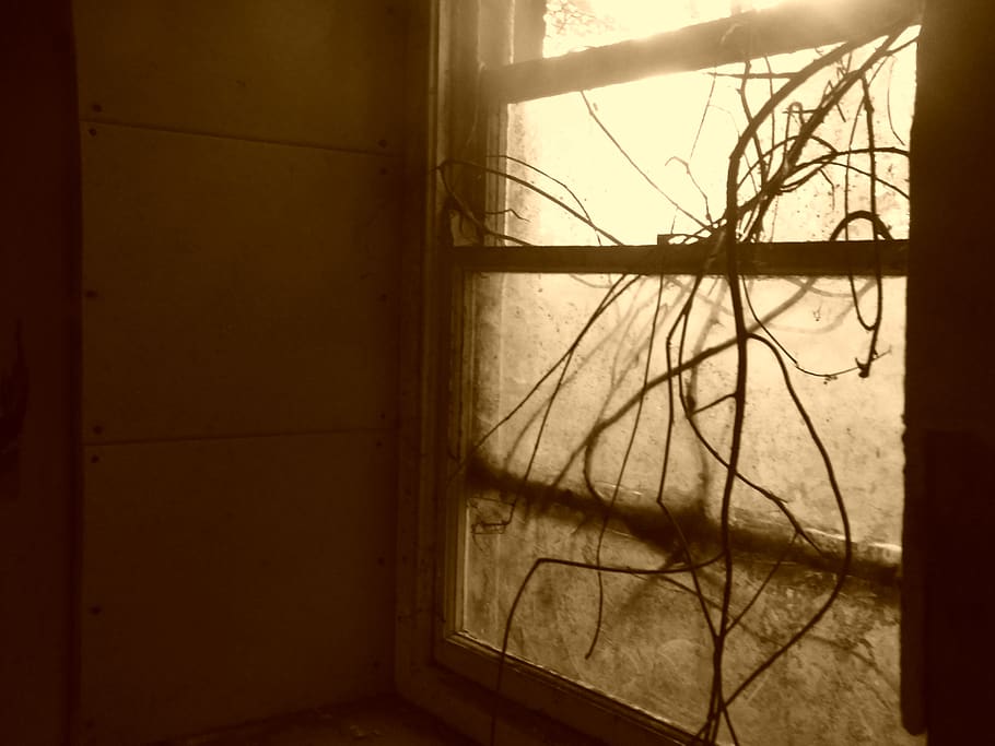 hd, trees, forest, abandoned, scary, sepia, window, winter HD wallpaper