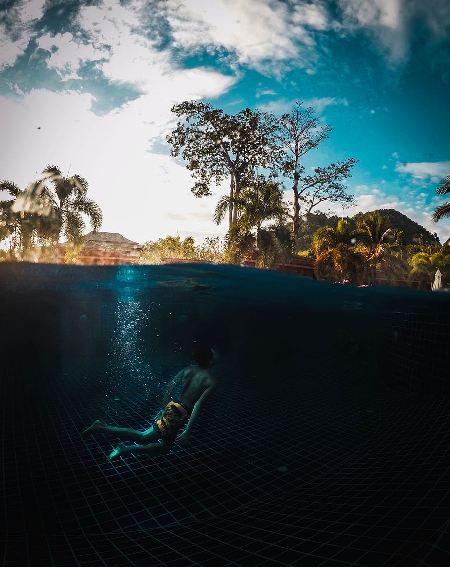 ko yao noi, thailand, water, swimming, tree, nature, plant, HD wallpaper