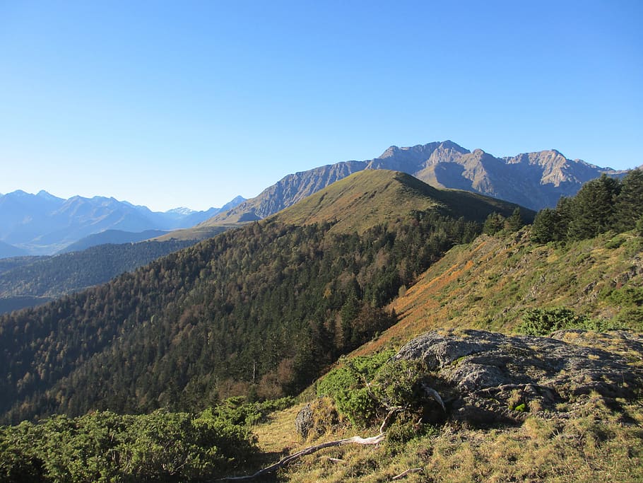 forest, payolle, pyrénées, mountain, scenics - nature, beauty in nature HD wallpaper
