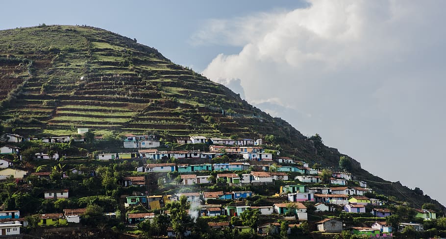 ooty, tamilnadu, india, landscape, hill station, south, asia